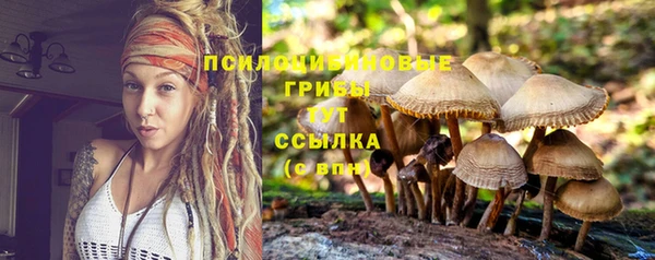 кокаин премиум Богданович
