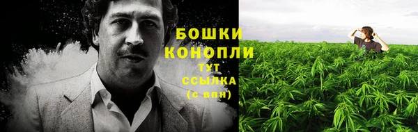 jwh Богородицк
