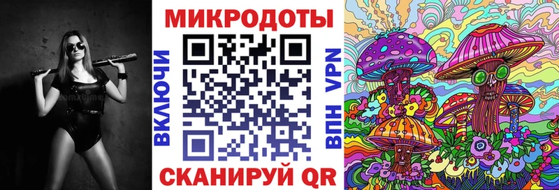 kraken как войти  Заречный  Галлюциногенные грибы Magic Shrooms  площадка клад  сколько стоит 